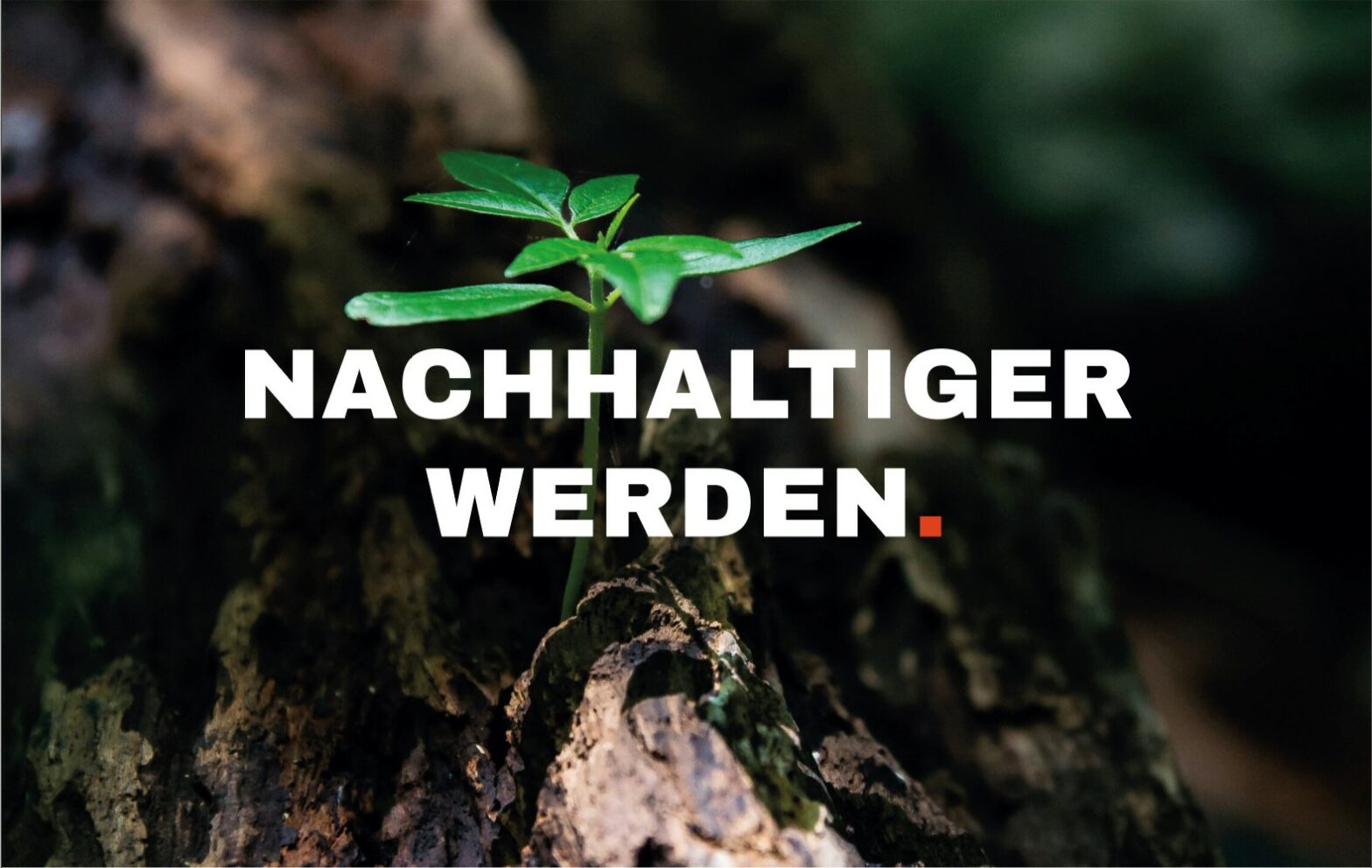 Nachhaltiger werden mit Torsten Spill